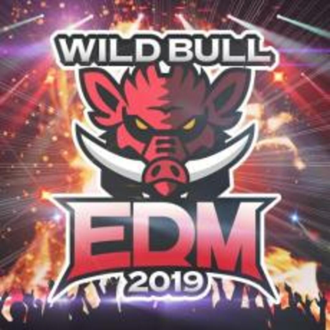 【中古】CD▼Wild Bull EDM 2019 エンタメ/ホビーのCD(その他)の商品写真