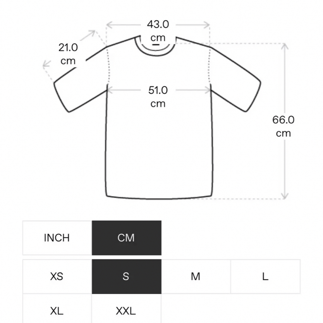 STUSSY(ステューシー)のsunflower リンガーTシャツ　Sサイズ メンズのトップス(Tシャツ/カットソー(半袖/袖なし))の商品写真