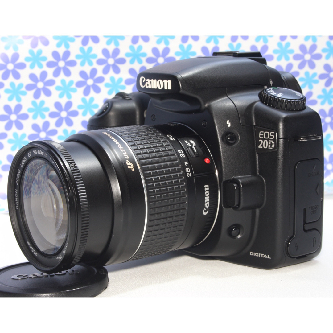 極美品★Canon EOS 20D レンズセット★高画質★初心者おすすめ★ | フリマアプリ ラクマ