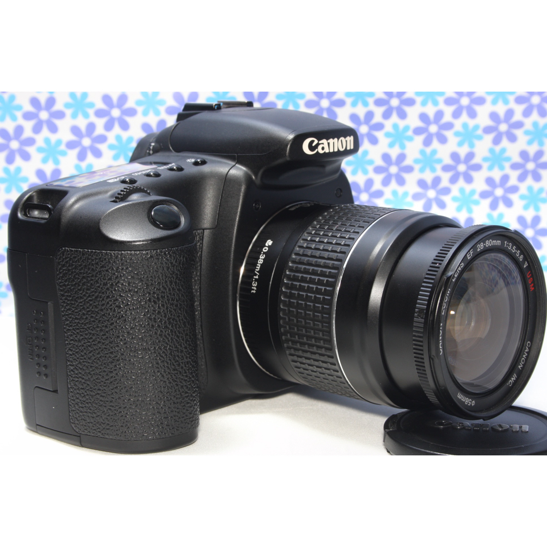 極美品★Canon EOS 20D レンズセット★高画質★初心者おすすめ★ 3