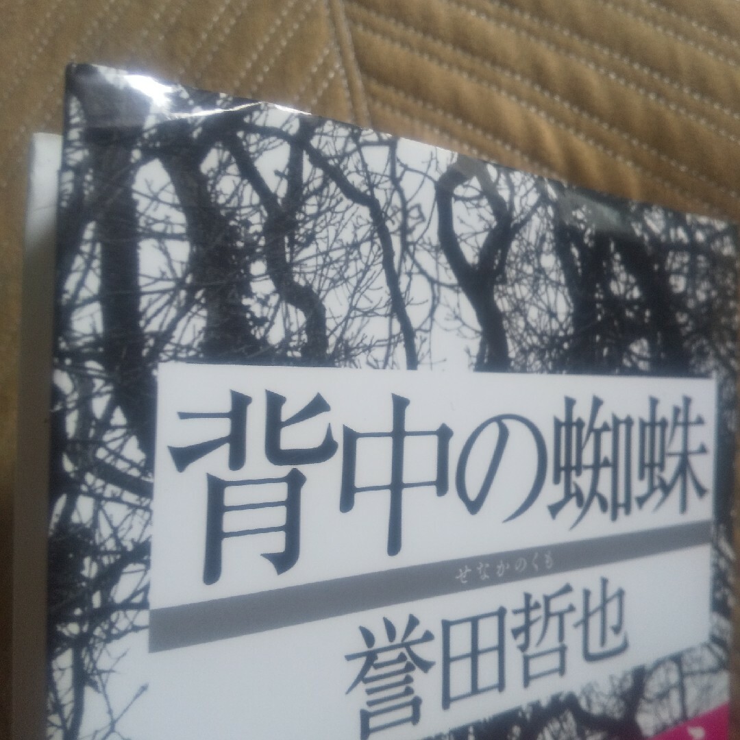 背中の蜘蛛 エンタメ/ホビーの本(文学/小説)の商品写真