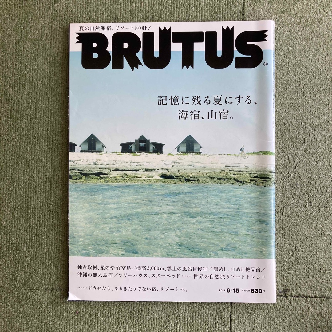 BRUTUS (ブルータス) 2012年 6/15号 エンタメ/ホビーの雑誌(その他)の商品写真