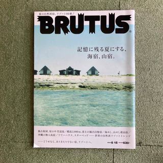 BRUTUS (ブルータス) 2012年 6/15号(その他)