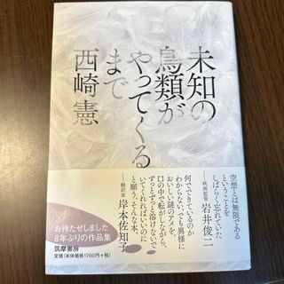 未知の鳥類がやってくるまで(文学/小説)