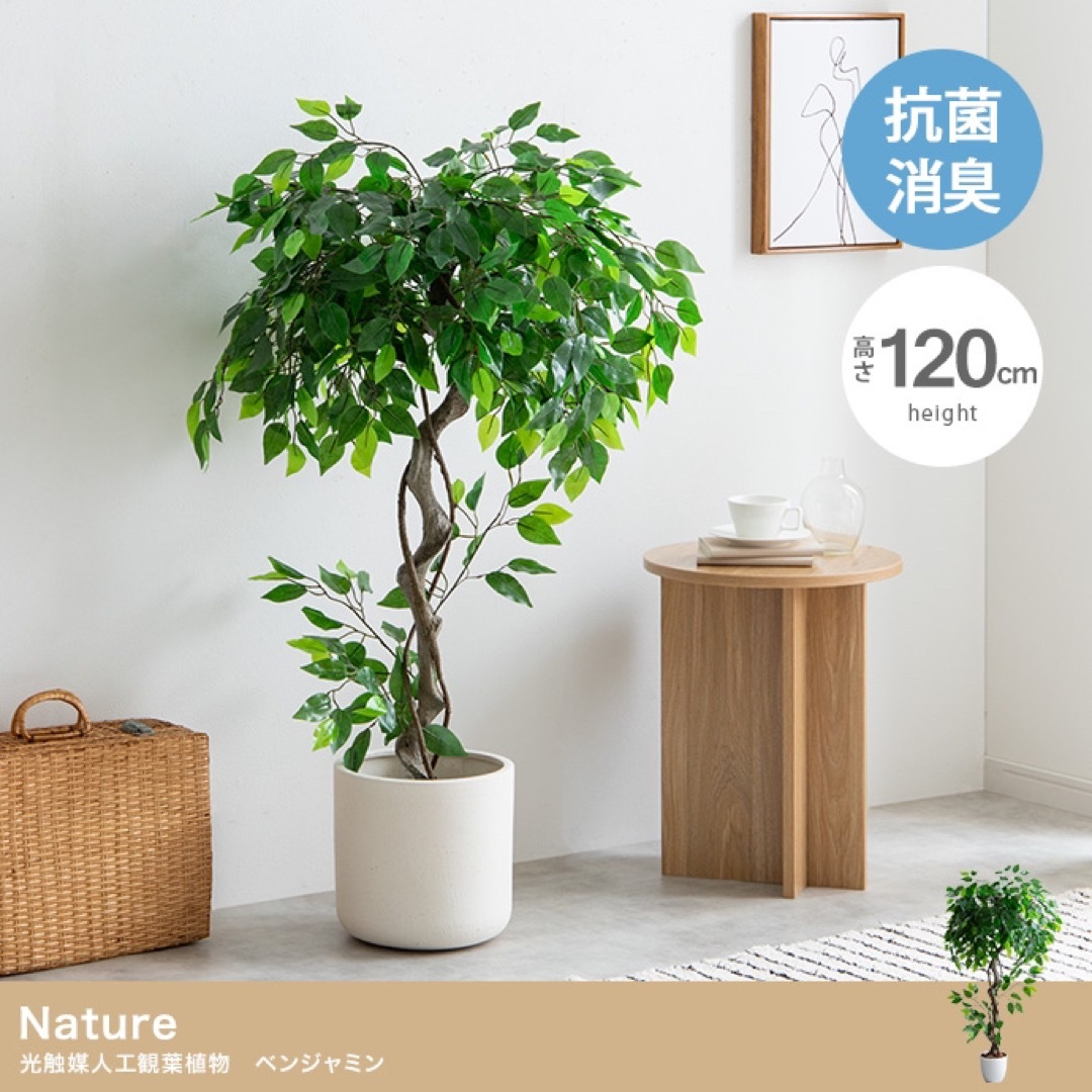 【送料無料】高さ120cm Nature 光触媒人工観葉植物　ベンジャミン