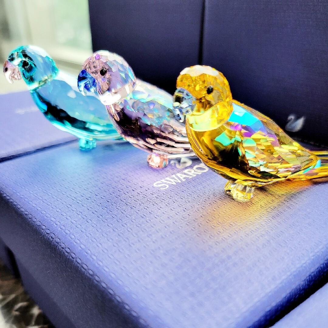 100％安い スワロフスキー インコ BLUE,PINK,YELLOW 三色フルセット 箱 ...