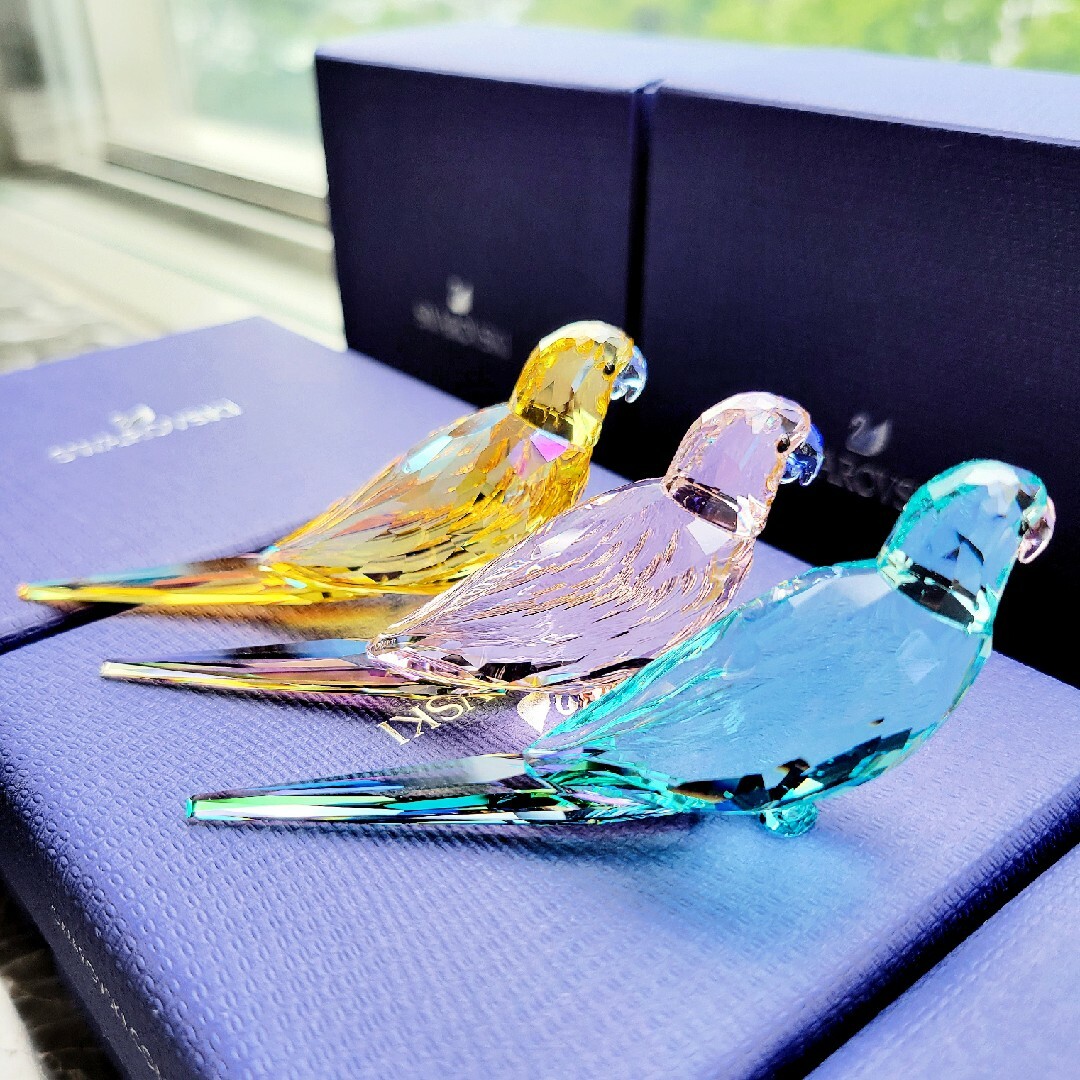 100％安い スワロフスキー インコ BLUE,PINK,YELLOW 三色フルセット 箱 ...