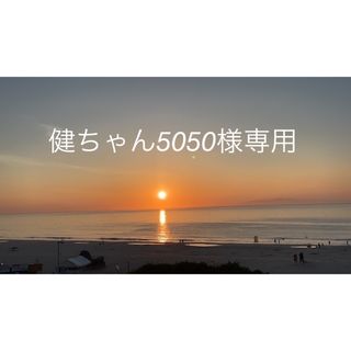 健ちゃん5050様専用(漬物)