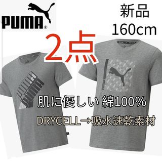 プーマ(PUMA)の新品 プーマ 半袖 tシャツ 男の子 ボーイズ シャツ 綿100% 160 春夏(Tシャツ/カットソー)