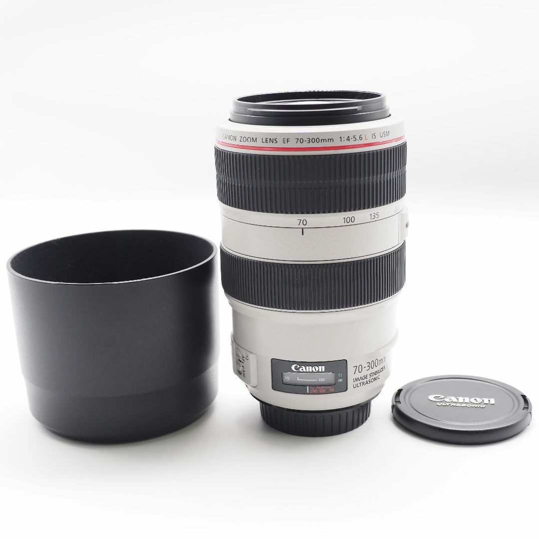 Canon 望遠ズームレンズ EF70-300mm F4-5.6L IS USM | www.causus.be