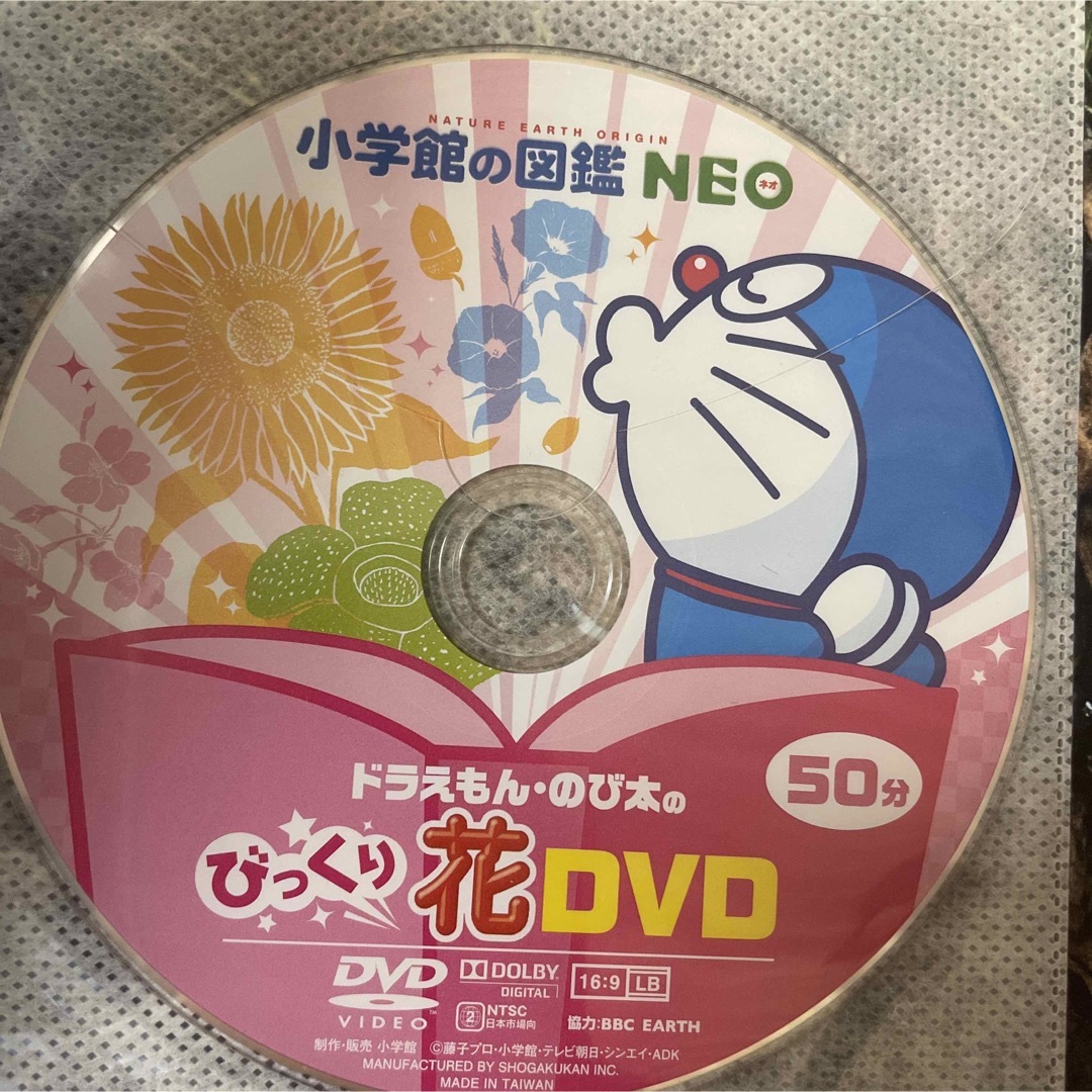 小学館(ショウガクカン)の小学館NEO  昆虫、動物、両生類はちゅう類、花 エンタメ/ホビーの本(語学/参考書)の商品写真