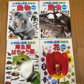 ショウガクカン(小学館)の小学館NEO  昆虫、動物、両生類はちゅう類、花(語学/参考書)