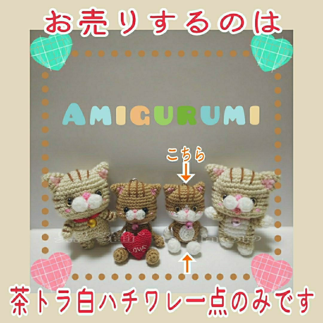 販売価格1500円♪ ♥️ 茶 ト ラ 白 ハ チ ワ レ ♥️