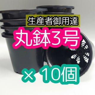 丸鉢 3号 黒 10個 プラ鉢 サボテン アガベ 観葉植物 多肉植物 山野草(プランター)