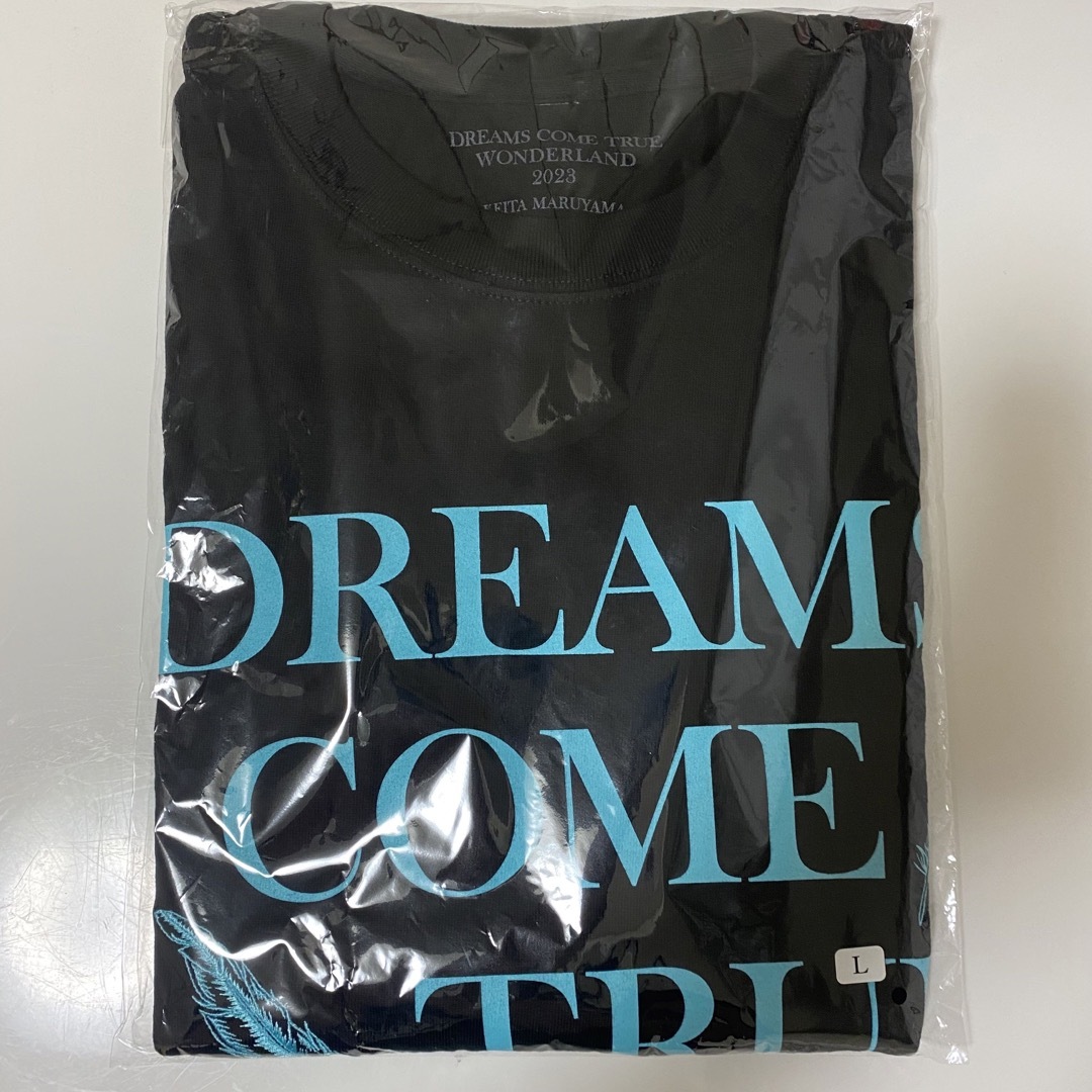 DREAMS COME TRUE ドリカム ワンダーランド 2023 TシャツL