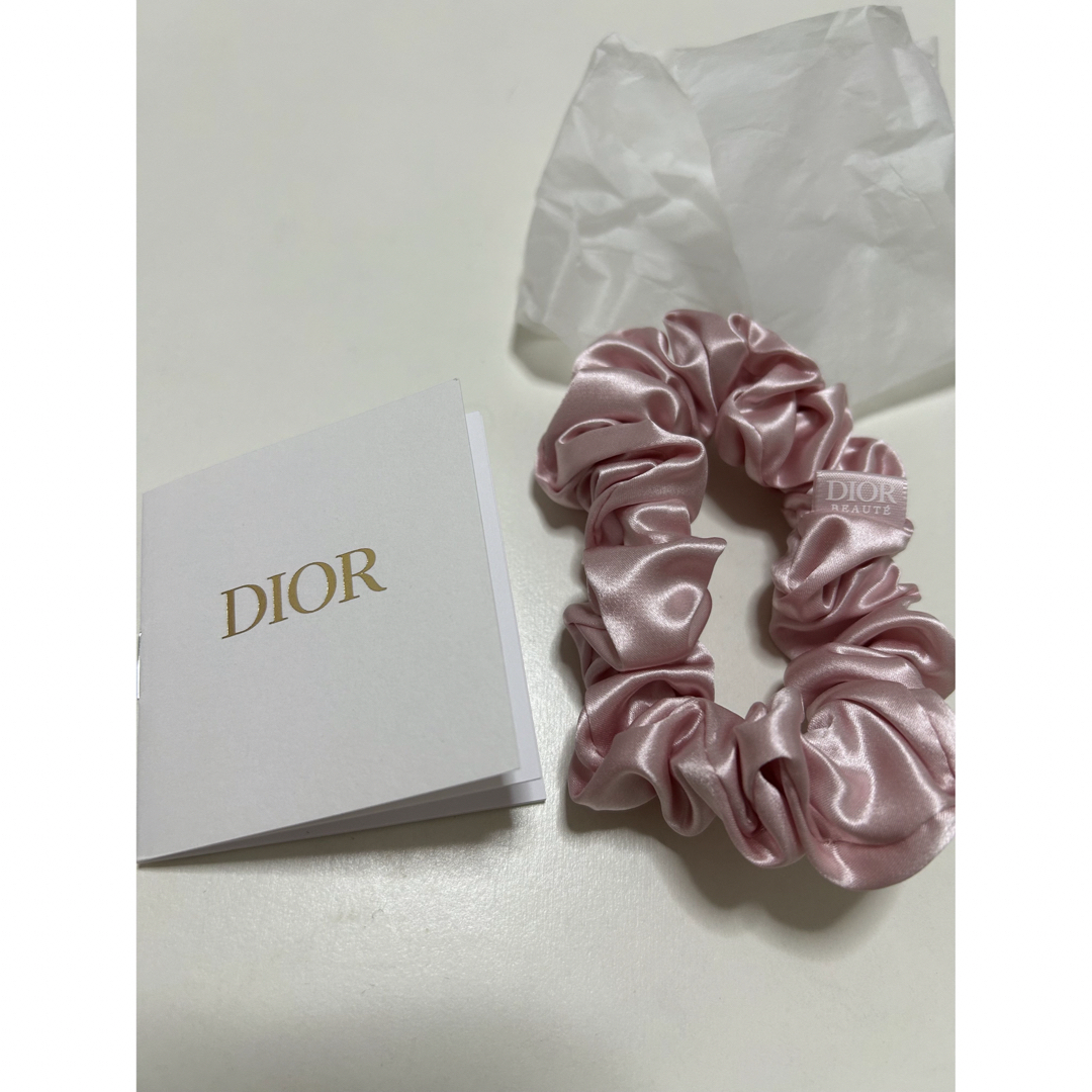Christian Dior(クリスチャンディオール)のディオールノベルティ エンタメ/ホビーのコレクション(ノベルティグッズ)の商品写真