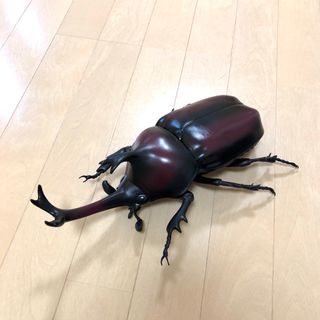 BIGビッグカブトムシ(その他)