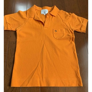 アーノルドパーマー(Arnold Palmer)の値下げ中　アーノルドパーマー　ポロシャツ　レディース　サイズ1 かわいい(ポロシャツ)