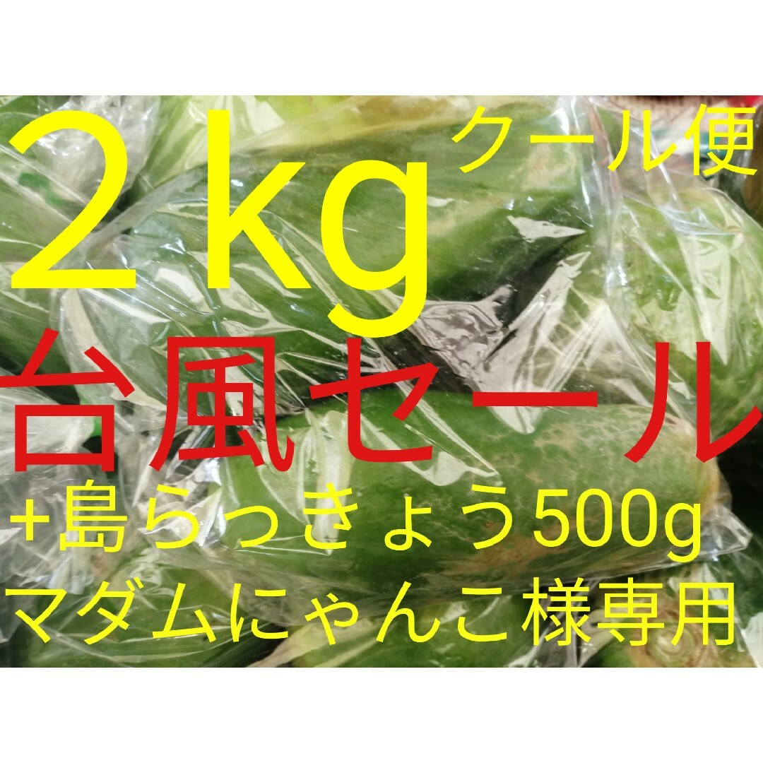 マダムにゃんこ様専用】青パパイヤB品2kg+島らっきょう500gの通販 by