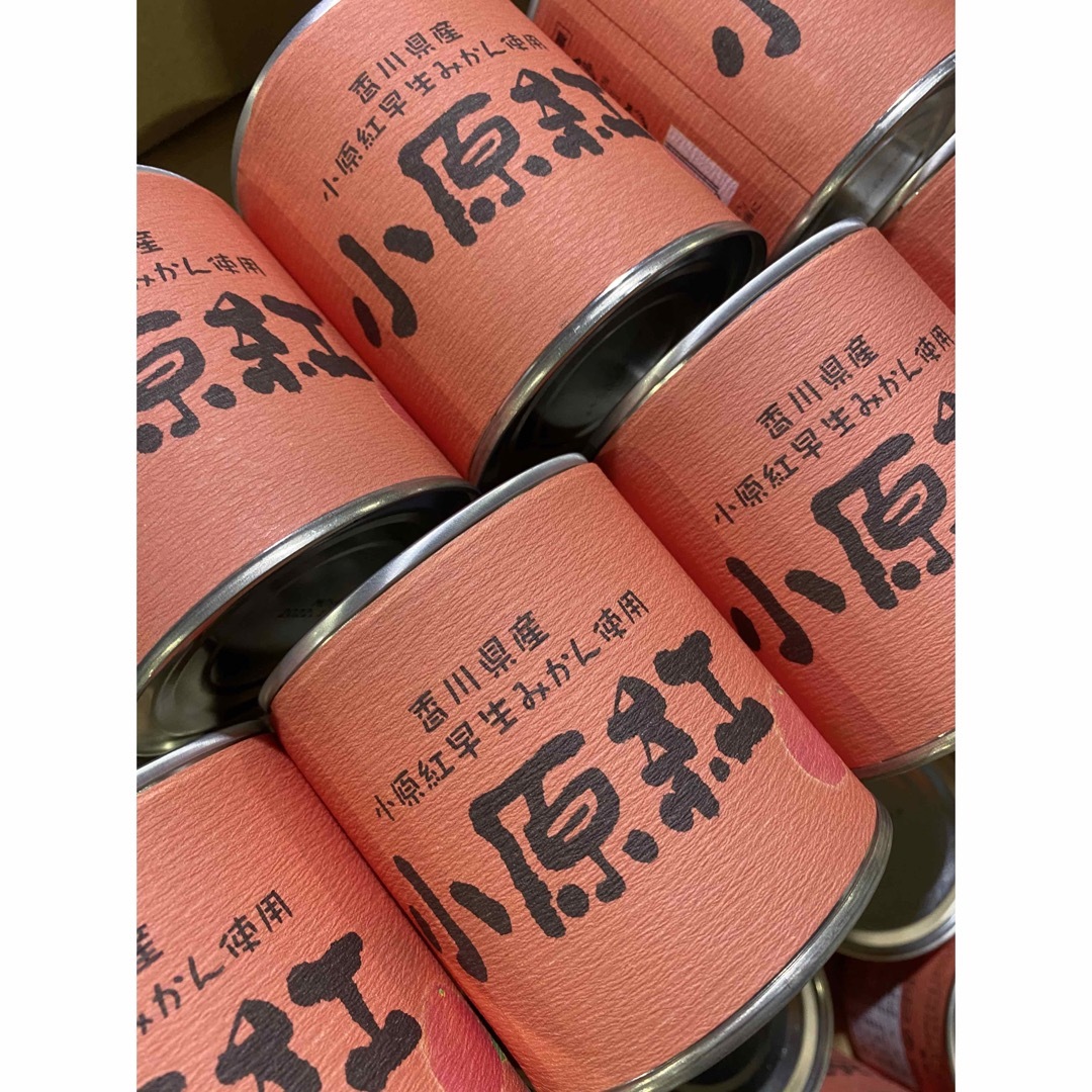 小原紅みかん缶詰 24個入り×2箱