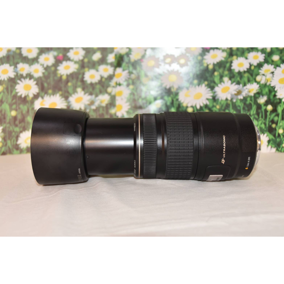 Canon - ❤️美品❤手ぶれ補正付き❤超望遠レンズ❤Canon EF 75-300mm