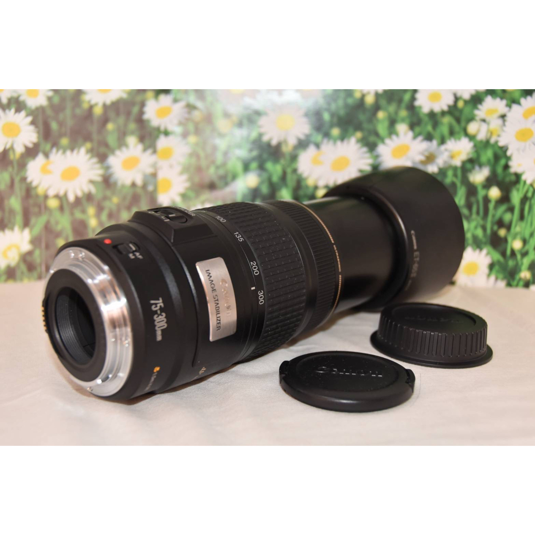 Canon - ❤️美品❤手ぶれ補正付き❤超望遠レンズ❤Canon EF 75-300mm ...