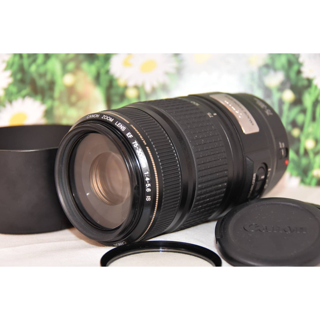 美品✨キャノン EF 75-300mm Ⅲ USM❤️高倍率望遠ズームレンズ！