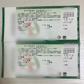 神宮外苑花火大会 スタンドS席2連番 almamaster.lt