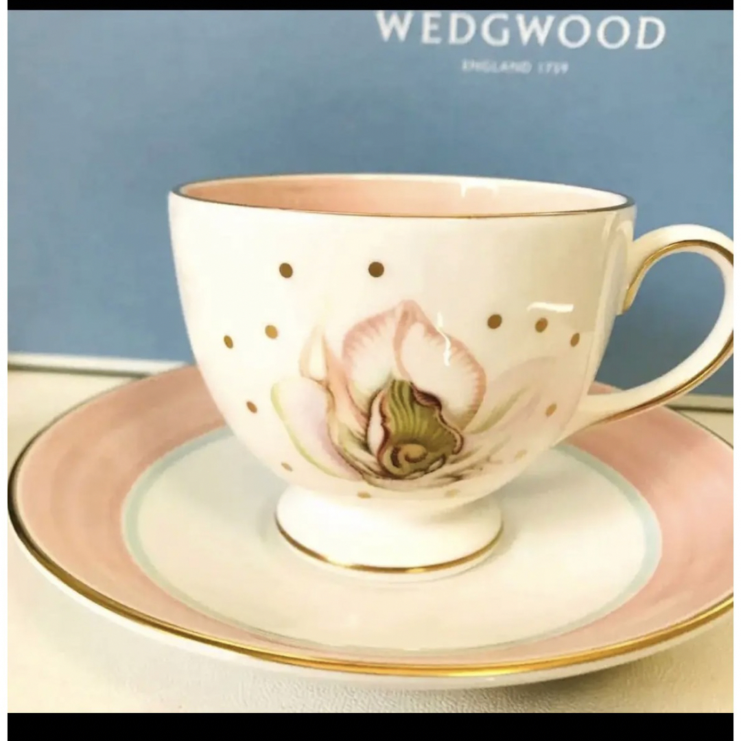 WEDGWOOD - ウェッジウッド スージークーパー マグノリア 新品未 WEDGWOOD - ウェッジウッド スージークーパー マグノリア 新品未