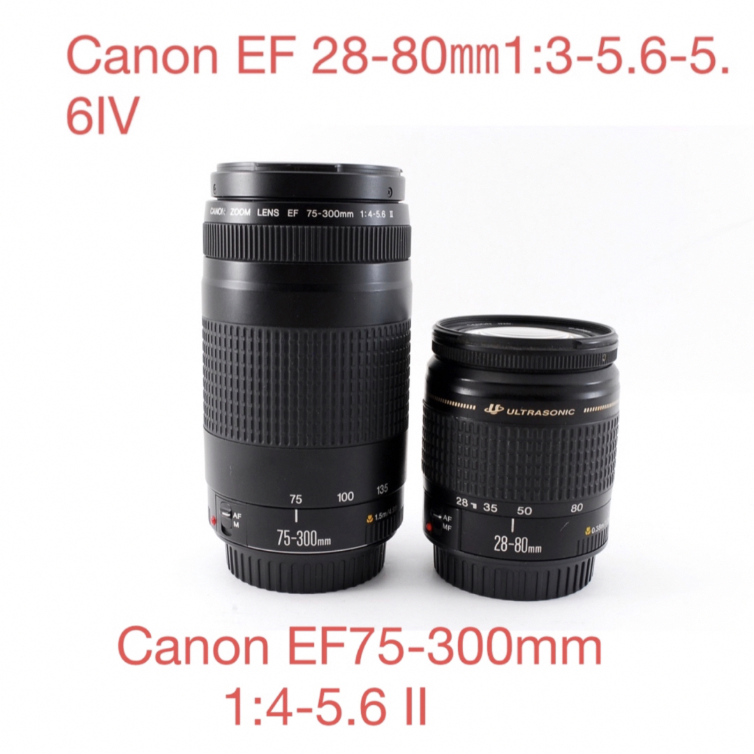 Canon キヤノン 望遠レンズ 100-300mm　迫力の300㎜！LENS