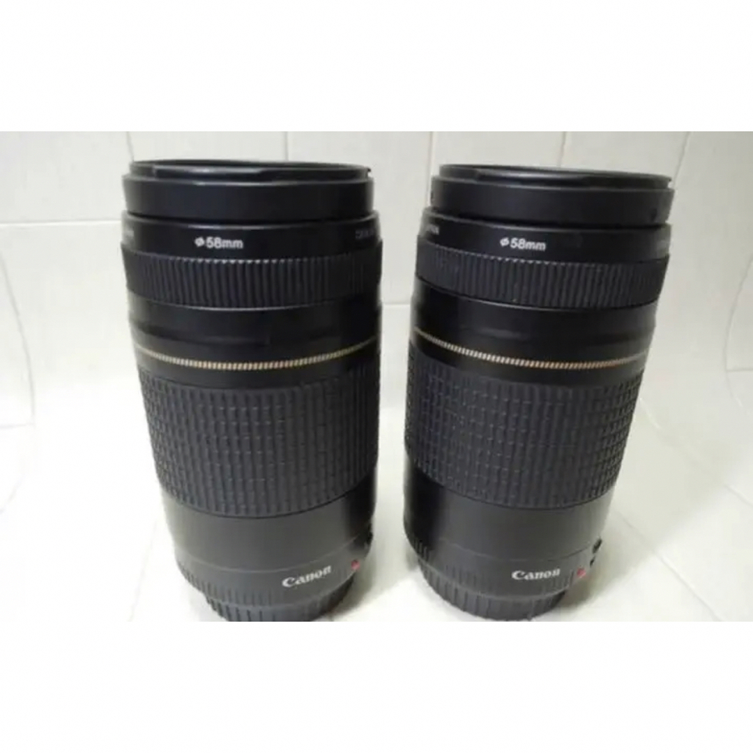 オススメ☆極上品☆迫力の300mm キヤノン　Canon EF75-300㎜