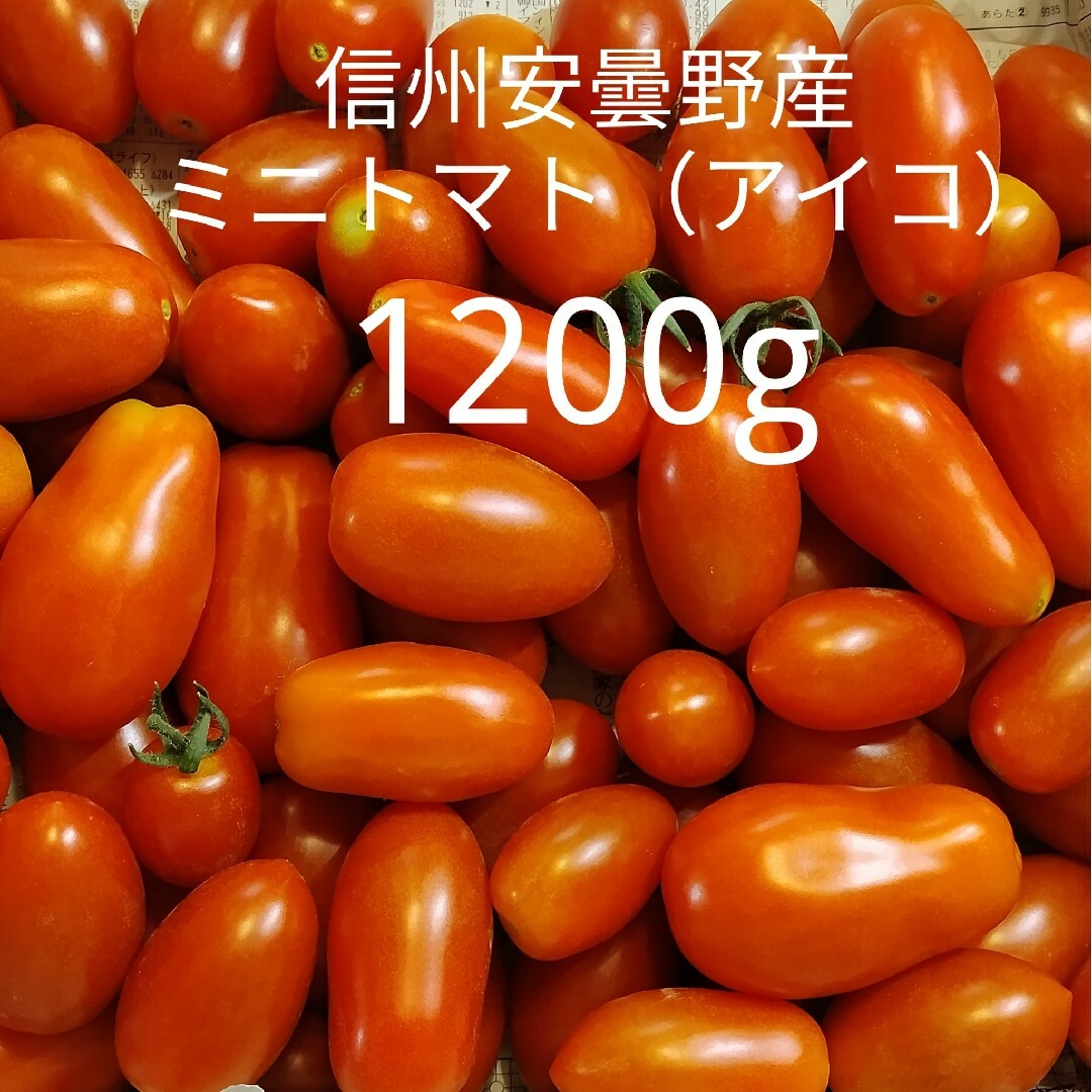 アイコ　信州産ミニトマト　野菜　3kg　※専用ページ