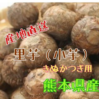 値引き中　里芋（小芋）800g きぬかつぎ用　 熊本県産(野菜)