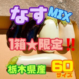 1箱限定‼️栃木県産　なすMIX【60サイズ】(野菜)