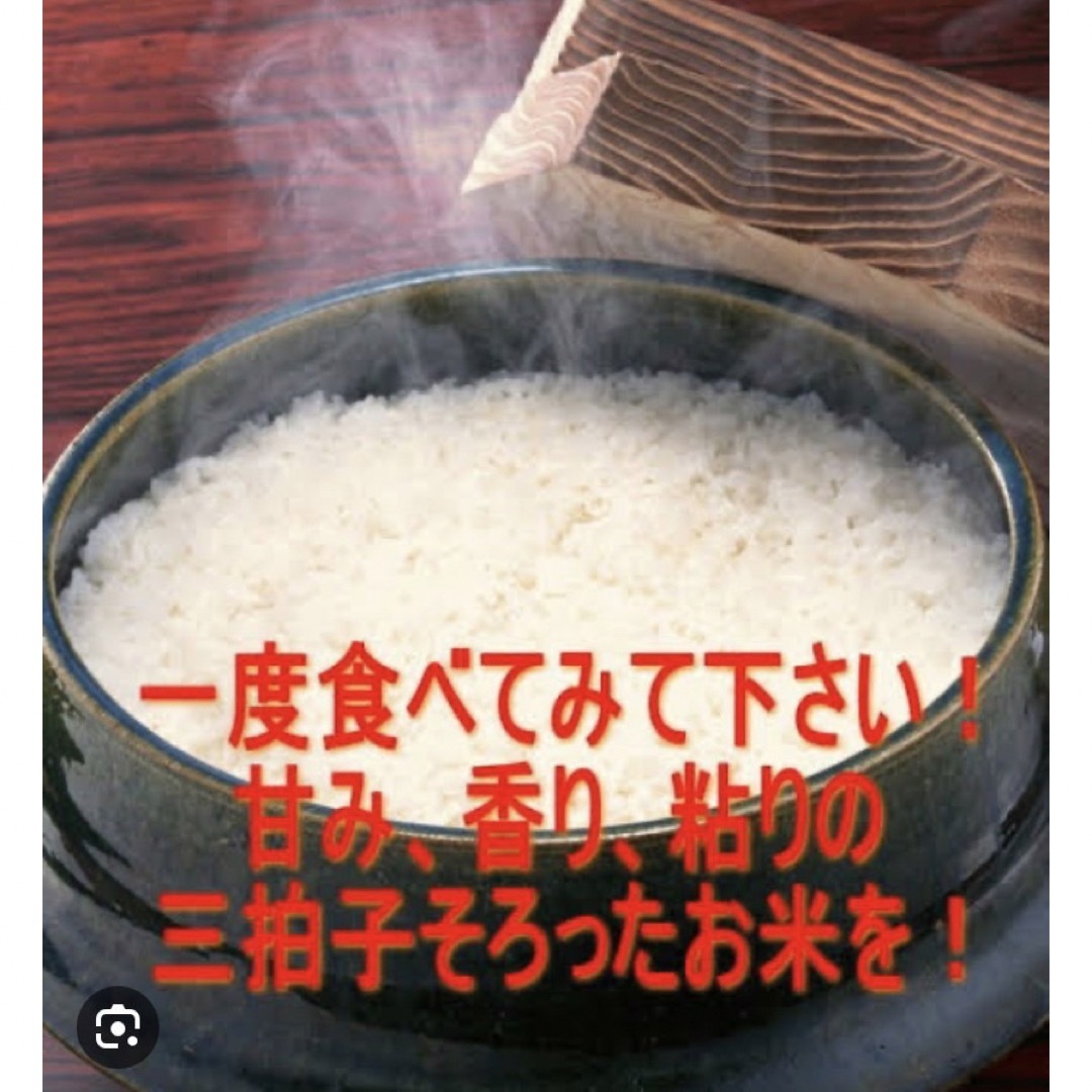 コシヒカリ　9月中旬引渡し予定　新米　専門店では　伊賀米　令和5年度　玄米　米/穀物　LITTLEHEROESDENTISTRY