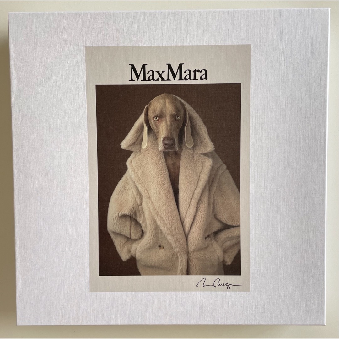 MAX MARA  新作 大人気 DOG Tシャツ ホワイト S 新品・未使用 5