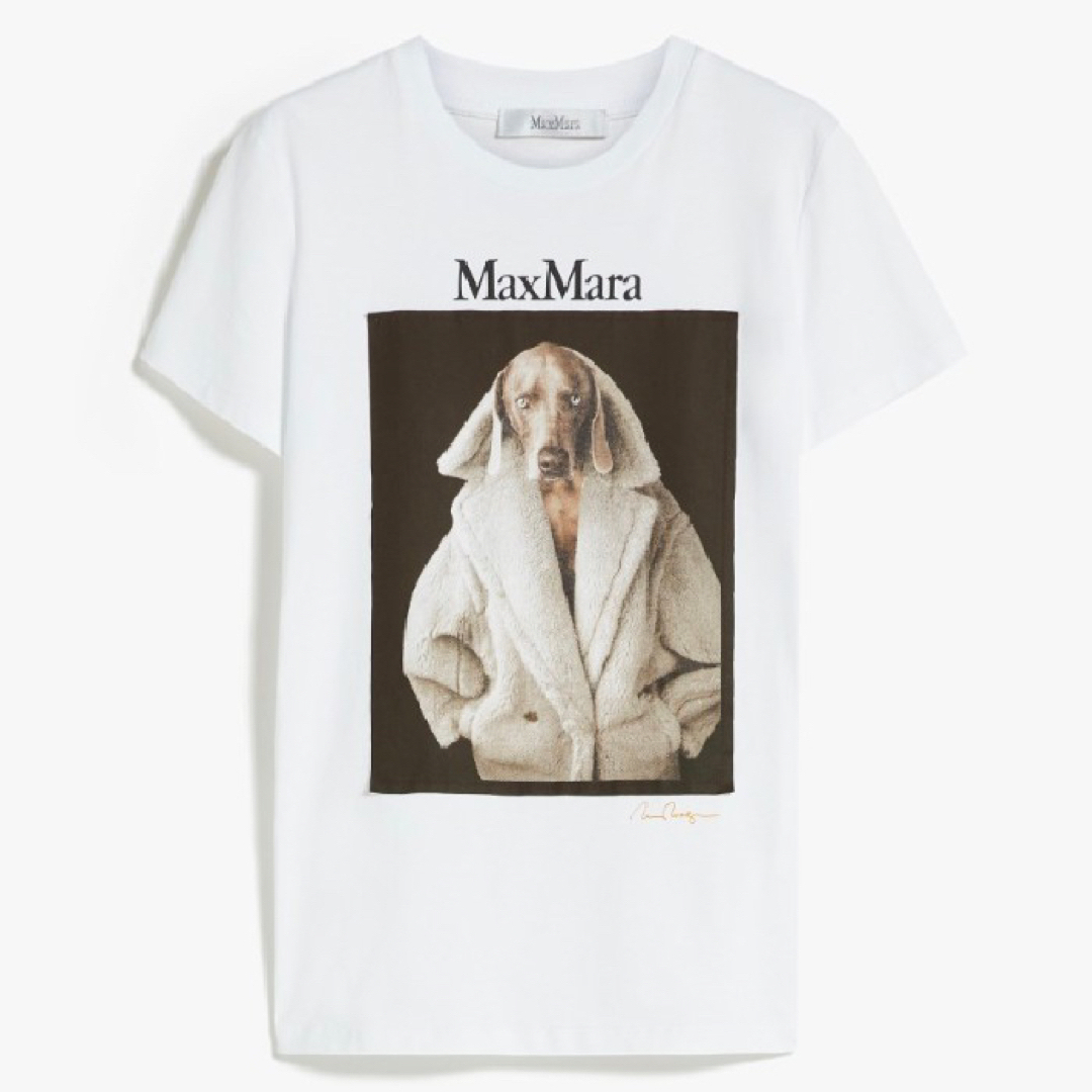 MAX MARA  新作 大人気 DOG Tシャツ ホワイト M 新品・未使用 3