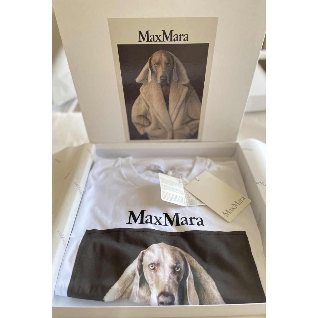 MAX MARA  新作 大人気 DOG Tシャツ ホワイト M 新品・未使用 1