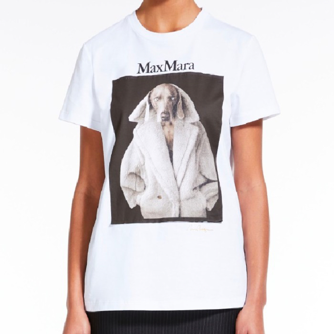 Max Mara - MAX MARA 新作 大人気 DOG Tシャツ ホワイト M 新品・未