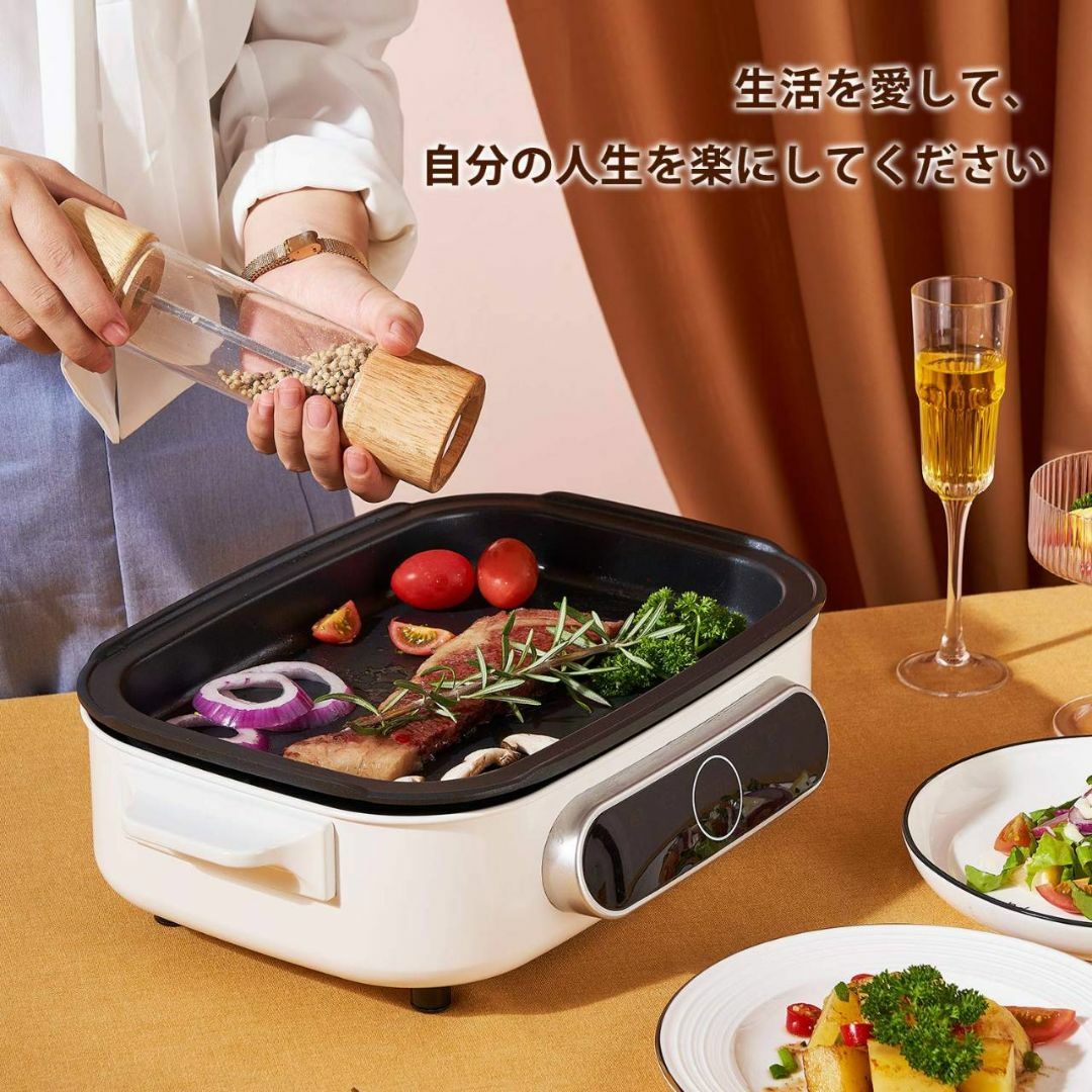 プレート2枚付きの温度調節可能なホットプレート