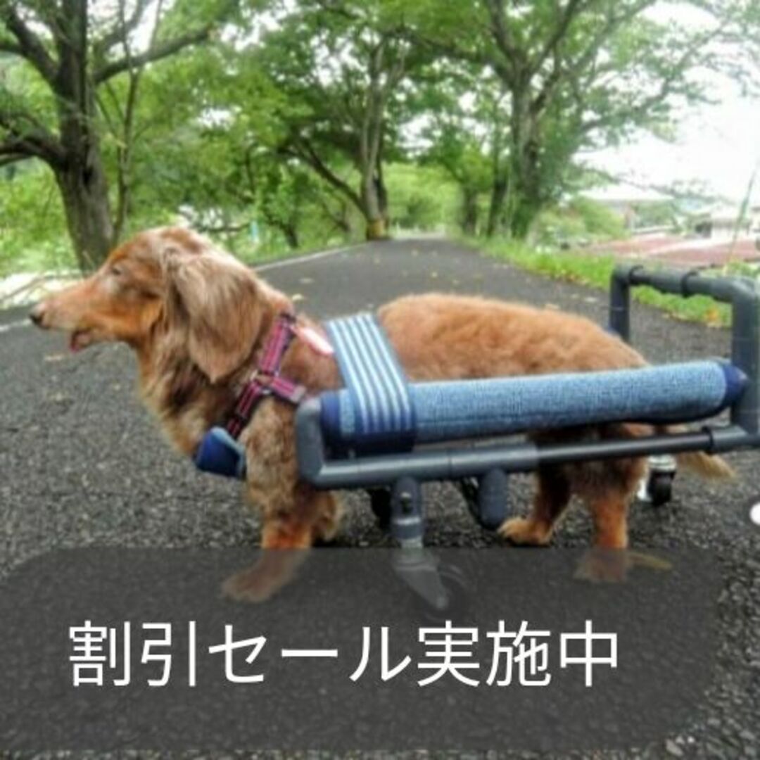 ４輪歩行器、犬車椅子、犬歩行器(シートタイプ)