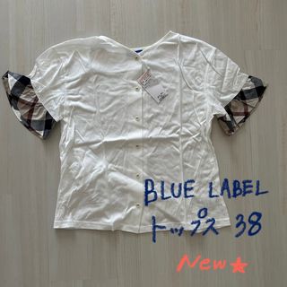 バーバリーブルーレーベル(BURBERRY BLUE LABEL)のBLUE LABEL 半袖トップス(カットソー(半袖/袖なし))