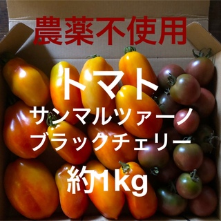 農薬：栽培期間中不使用　サンマルツァーノトマト　ブラックチェリートマト　約1kg(野菜)