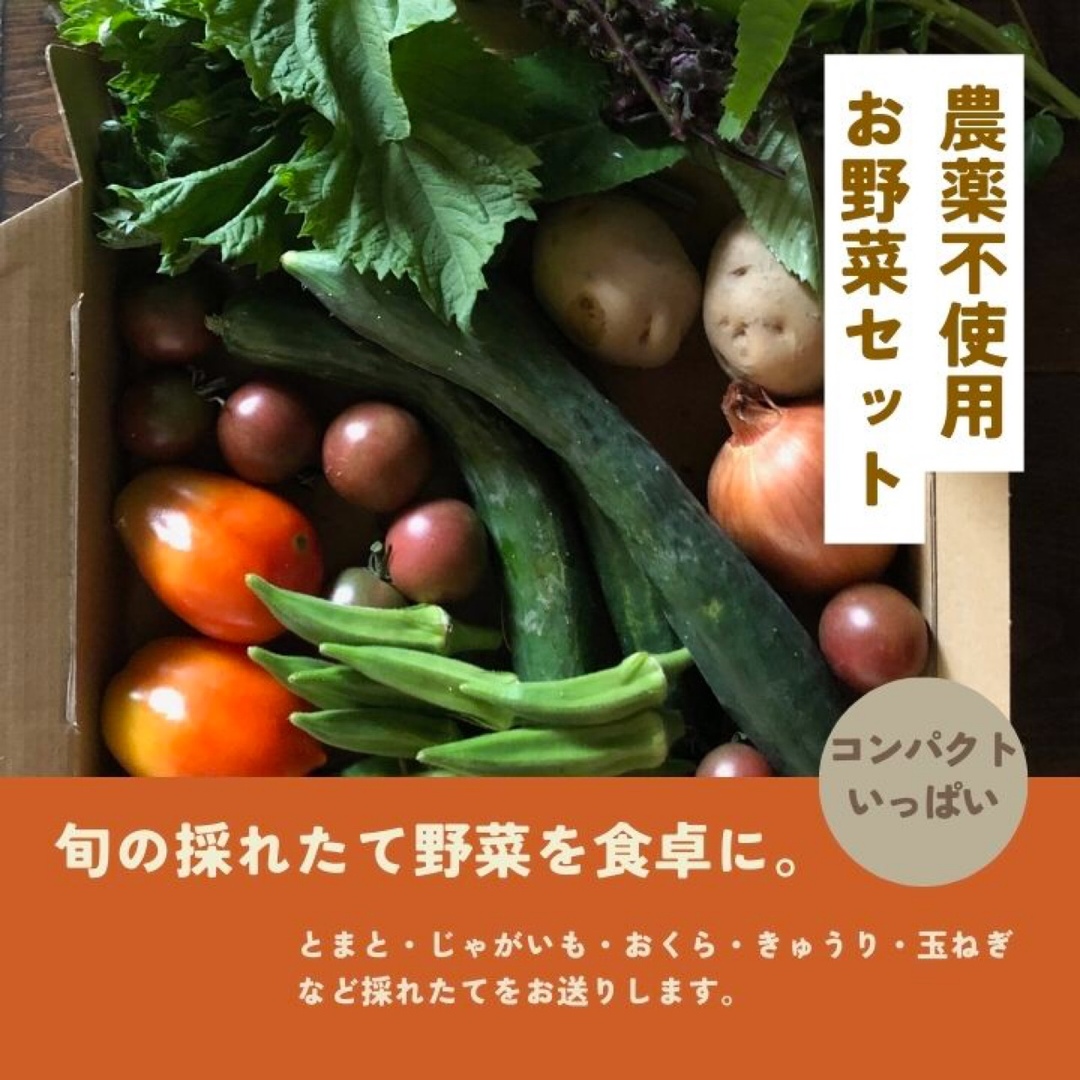 農薬：栽培期間中不使用 ♪旬野菜　詰め合わせ♪コンパクト　採りたて！ 食品/飲料/酒の食品(野菜)の商品写真