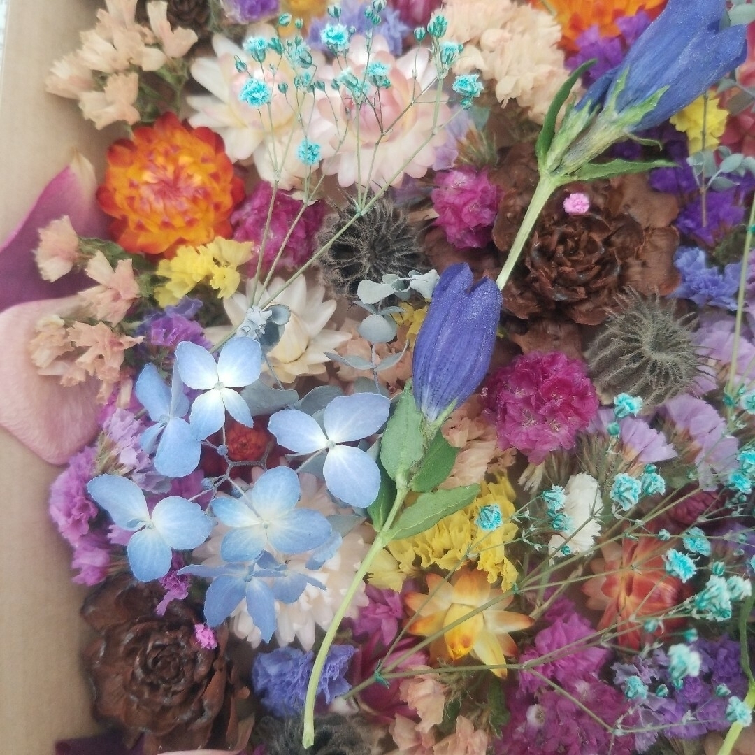 【はるるん様専用】㉛ドライフラワー花材詰め合わせ ハンドメイドのフラワー/ガーデン(ドライフラワー)の商品写真