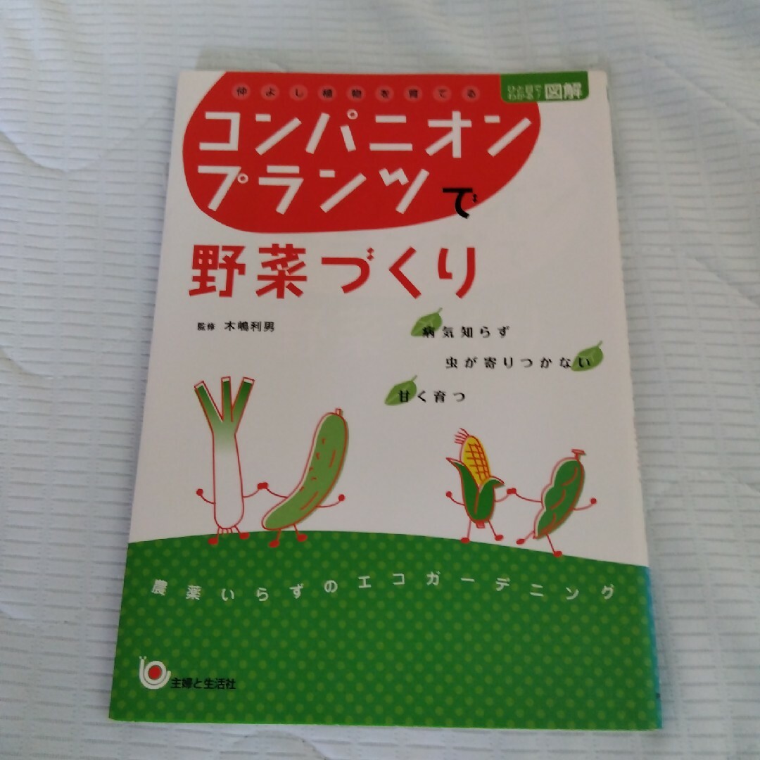 主婦と生活社(シュフトセイカツシャ)の23時まで大特価！コンパニオンプランツで野菜づくり 仲よし植物を育てる エンタメ/ホビーの本(趣味/スポーツ/実用)の商品写真