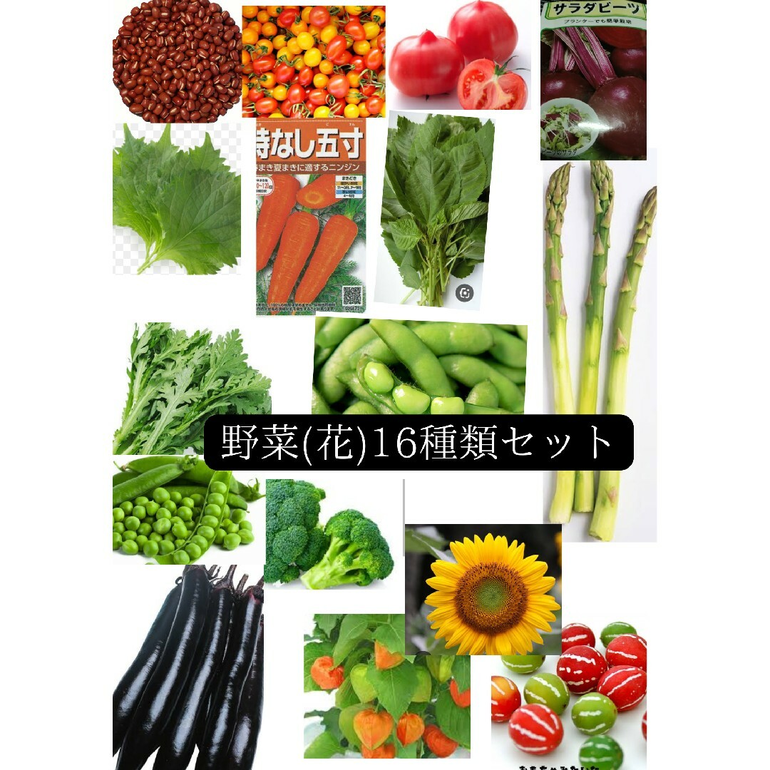 野菜(花)のたね１６種類セット エンタメ/ホビーのエンタメ その他(その他)の商品写真