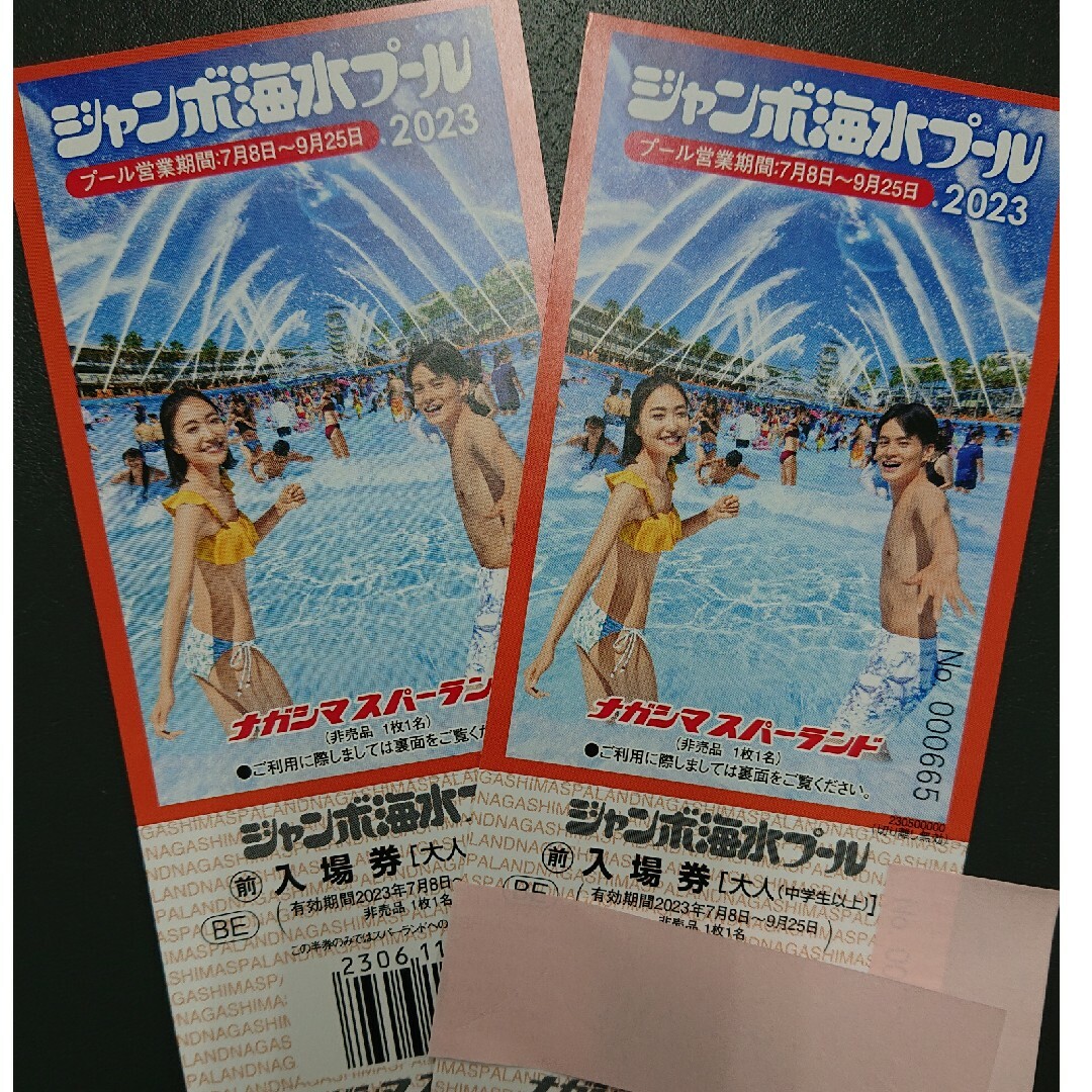 ナガシマ ジャンボ海水プール 大人2枚 - プール