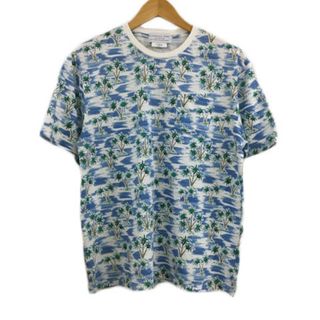 チャオパニックティピー(CIAOPANIC TYPY)のチャオパニック ティピー Tシャツ カットソー プルオーバー 半袖 L 白 青(Tシャツ/カットソー(半袖/袖なし))