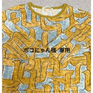 ミナペルホネン(mina perhonen)の値下げminaperhonen ロングスリーブT(Tシャツ/カットソー)